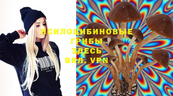 твердый Алексин